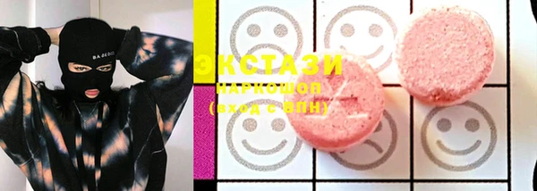 дмт Богданович