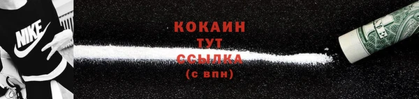 дмт Богданович
