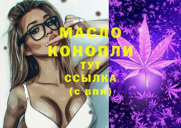 дмт Богданович