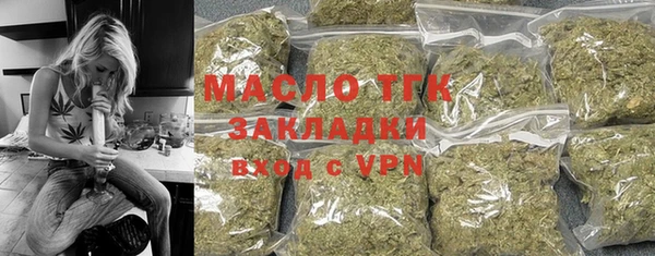 дмт Богданович