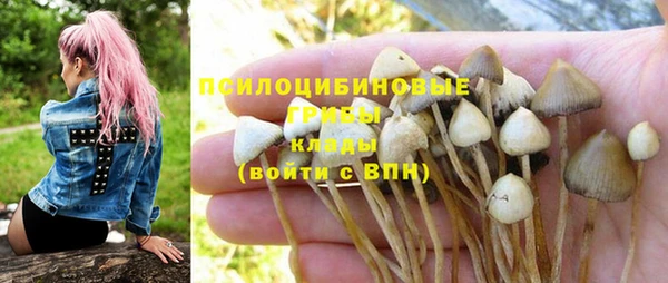 экстази Белокуриха