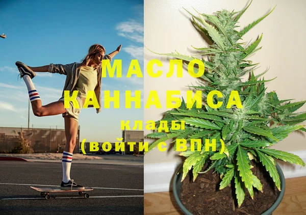 дмт Богданович