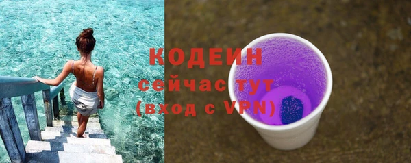 дмт Богданович